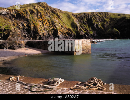 Cornovaglia Mullion Cove vicino la lucertola Foto Stock