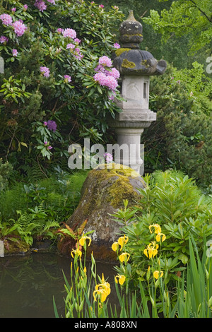 WA, Seattle, Kubota Garden, Giapponese lanterna con rododendri e iris Foto Stock