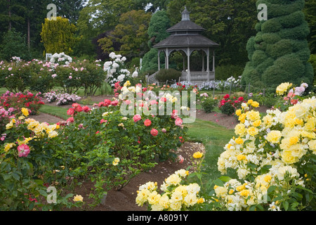 WA, Seattle, Rose in fiore e gazebo in giardino di rose al Parco Zoologico Woodland Foto Stock