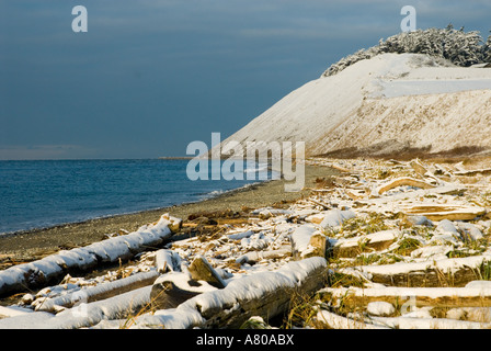 Nord America, USA, WA, Whidbey Island. Ebey's Landing National Historic Reserve. Driftwood spiaggia coperta di neve fresca Foto Stock