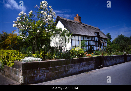 Cheshire Cottage Foto Stock
