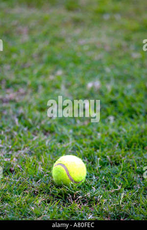 Palla da tennis su erba in attesa di un cane che non tornerà mai Foto Stock