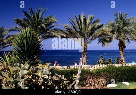 Spagna Isole Canarie isola di Tenerife Playa de las Americas (AMERICAS Spiaggia) Foto Stock