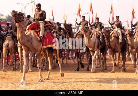India, Uttar Pradesh, New Delhi, parata militare Foto Stock