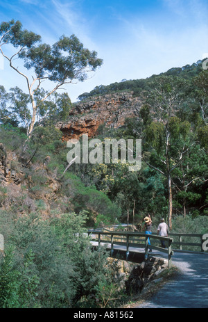 Giovane percorso a piedi il sentiero nella morialta conservation park vicino a Adelaide Australia del Sud Foto Stock