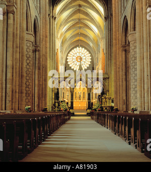 Vista interna verso est lungo la navata medievale di Durham Cathedral Durham City, nella contea di Durham, Inghilterra, Regno Unito. Foto Stock