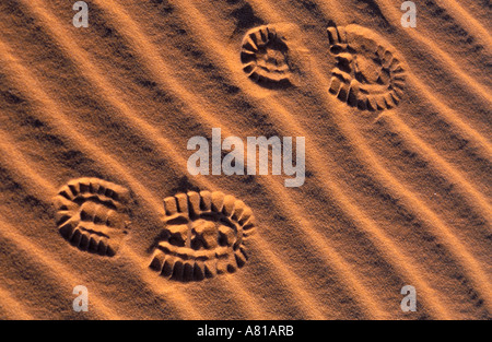La Mauritania, regione di Adrar, impronte nelle dune di sabbia del deserto Foto Stock