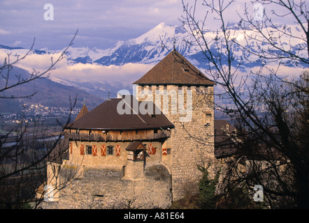 Castello, Vaduz, Liechtenstein Foto Stock