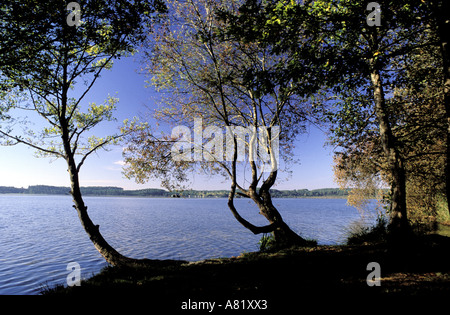 Francia, Landes, Soustons, Etang Blanc (stagno) Foto Stock