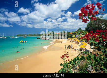 Store Bay, Tobago, dei Caraibi Foto Stock