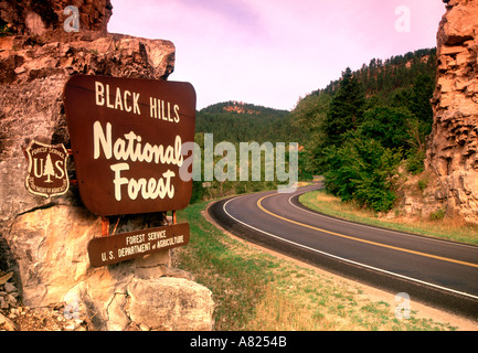 Black Hills National Forest, Spearfish Canyon, il Dakota del Sud, STATI UNITI D'AMERICA Foto Stock