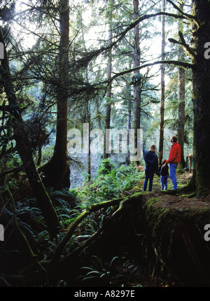 Famiglia di tre persone in piedi nella Foresta di Redwood Redwoods Costiere (Sequoia sempivirens) nel nord della California. Stati Uniti d'America Foto Stock