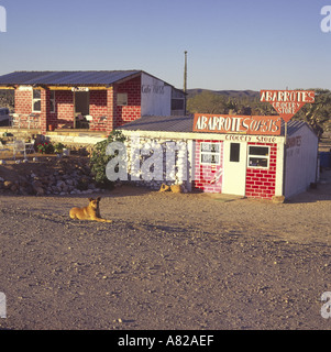 Poca strada negozio di alimentari e caffetteria in remoto paese a Catavina township Baja California Peninsular Messico Foto Stock