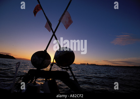 California, San Francisco Bay, aringa barca all'alba Foto Stock