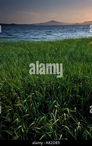 California, East Bay parchi, San Pablo Bay litorale, punto Pinole Parco Regionale Foto Stock