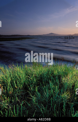 California, East Bay parchi, San Pablo Bay litorale, punto Pinole Parco Regionale Foto Stock