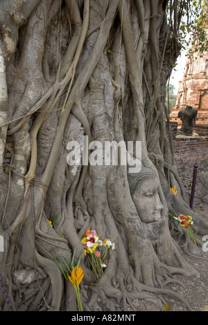 Antica ricoperta di pietra arenaria a Budah Ayuttaya Foto Stock