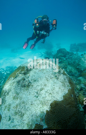 Fotografo subacqueo si libra sul corallo sbiancato, Florida Keys National Marine Sanctuary, Florida Foto Stock