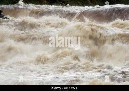 Aysgarth cascate inferiori nel diluvio Foto Stock