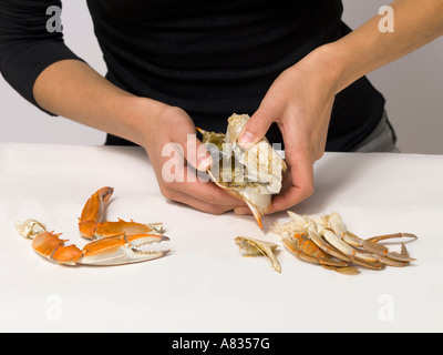 Uno di una serie di foto per dimostrare il corretto modo di mangiare il tonno rosso al vapore granchi Foto Stock