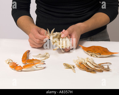 Uno di una serie di foto per dimostrare il corretto modo di mangiare il tonno rosso al vapore granchi Foto Stock