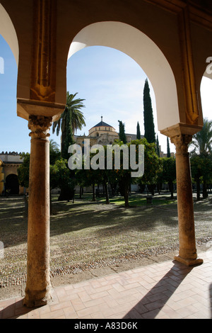 Patio de los Naranjos Grande Moschea Cordoba Spagna Foto Stock