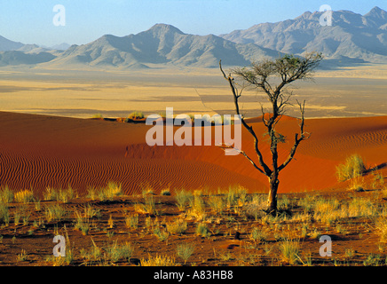 Namibrand Riserva Naturale, Namibia Foto Stock