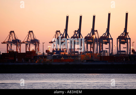 Contenitore ponti a Waltershof terminal container, Amburgo, Germania Foto Stock