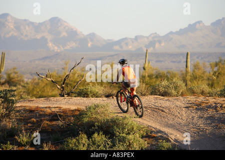 Mountain bike sui sentieri di competive nel Parco Regionale delle Montagne di McDowell vicino alla fontana colline a est di Phoenix in Arizona Foto Stock