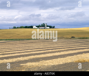 Il Dakota del Nord terreni agricoli / a nord di Tuttle, NORTH DAKOTA Foto Stock