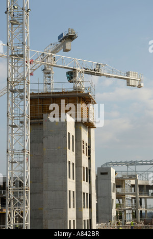 Gru a torre sulla Regina Alexander Ospedale sito in costruzione Foto Stock