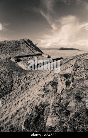 Resti di Milecastle 39 sulla parete di Adriano Northumberland England Regno Unito Foto Stock