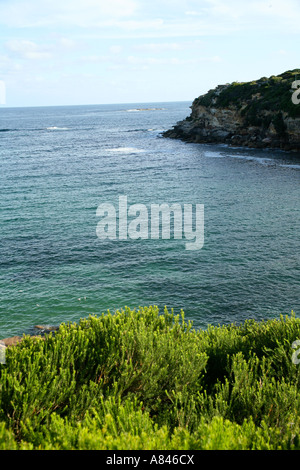 Vista dalla scogliera sul Bondi a Coogee a piedi, Sydney, Australia Foto Stock