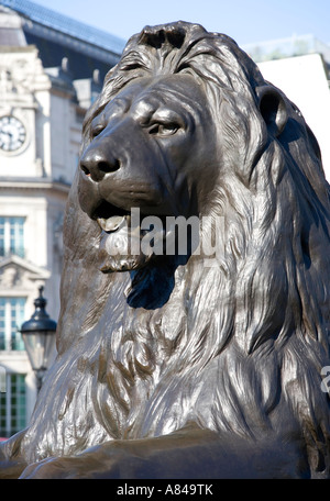 Lion statua in corrispondenza della base della colonna di Nelson a Trafalgar Square a Londra, Inghilterra, Regno Unito Foto Stock