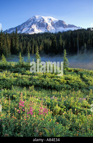 Mount Rainier e Lago di riflessione il Parco Nazionale del Monte Rainier Washington Foto Stock