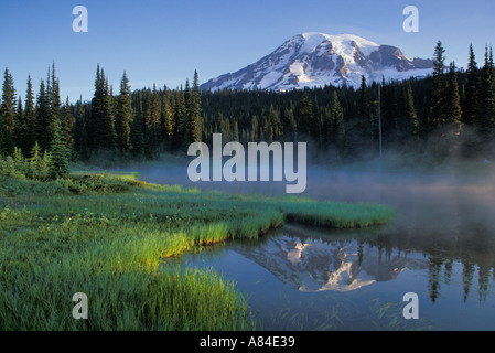 Mount Rainier riflessa nel lago di riflessione il Parco Nazionale del Monte Rainier Washington Foto Stock