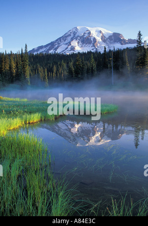 Mount Rainier riflessa nel lago di riflessione il Parco Nazionale del Monte Rainier Washington Foto Stock