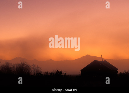 Fienile stagliano sunrise Cascade Mountains in background Spencer Isola Everett Snohomish estuario del fiume Washington Foto Stock