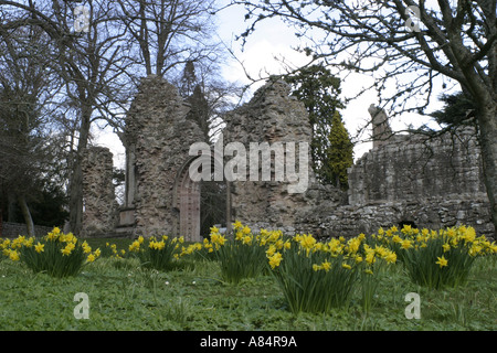 Dryburgh Abbey Melrose Scotland Regno Unito Foto Stock