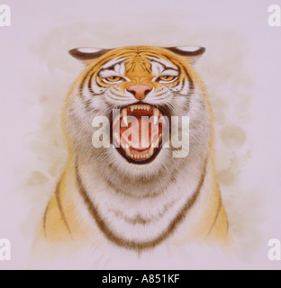 Tigre del Bengala illustrazione. Foto Stock