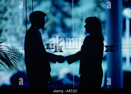 L uomo e la donna handshake. Profilarsi davanti a pannelli di vetro di edificio commerciale interno. Foto Stock