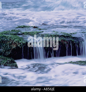 Australia. Onde sulla coperta di alghe marine rocce. Foto Stock