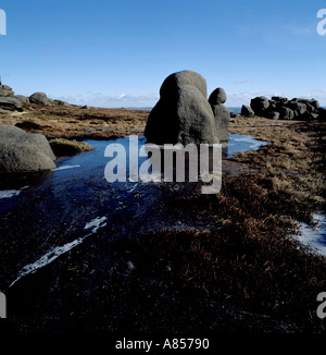 La formazione di Gritstone sull'Altopiano di Kinder noto come "pietra d'avena', Parco Nazionale di Peak District, Derbyshire, Inghilterra, Regno Unito. Foto Stock