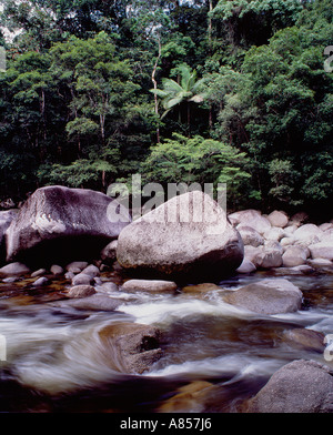 Australia. Queensland. Mossman Gorge. Vista ravvicinata di massi nel flusso e la foresta pluviale. Foto Stock