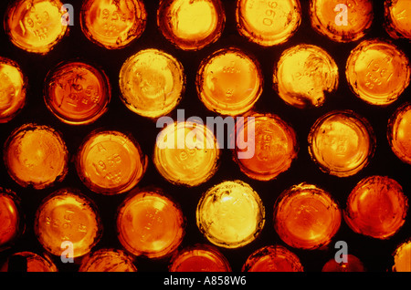 Australia. Nuovo Galles del Sud. Lightning Ridge. Parete composta da bottiglie. Foto Stock