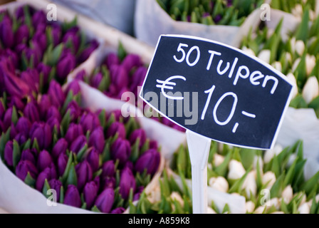 Dettaglio di tulipani in vendita presso il famoso mercato dei fiori galleggiante Bloemenmarkt in Amsterdam Paesi Bassi Foto Stock