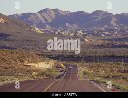 Highway One road through semi desert with Cirio trees growing each side Central Desert area Baja California Mexico Foto Stock