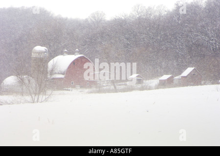 Rurale Minnesota farm durante l'inverno tempesta di neve. Foto Stock