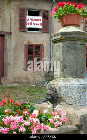 Fontana fiorito e CASA IN VENDITA FONTENOY-LA-JOUTE LORRAINE FRANCIA Foto Stock