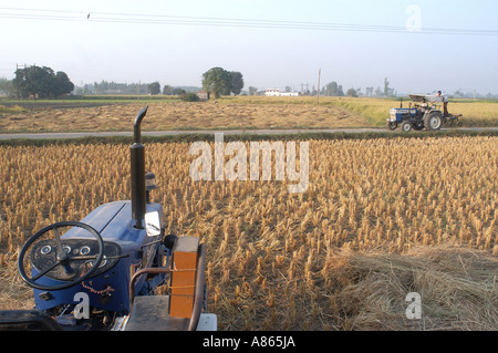 Trattori e campi di grano in Punjab , India Foto Stock